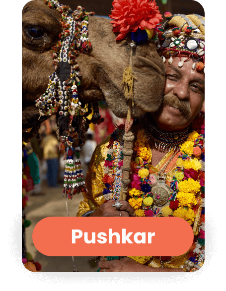 Madpackers Pushkar